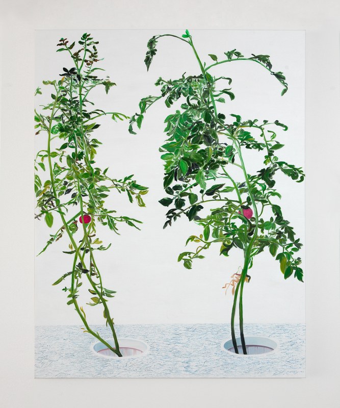 Alex Fischer, Vii 陈秋林 Chen Qiu Lin, 2015-02-26